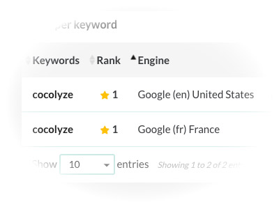 seo rank tracker real time position